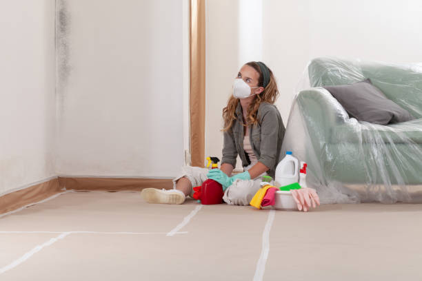 Reliable Black Mold Removal contractor in Cumberland, KY by WQB Mold Removal